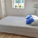 Casa Tatil Evi *